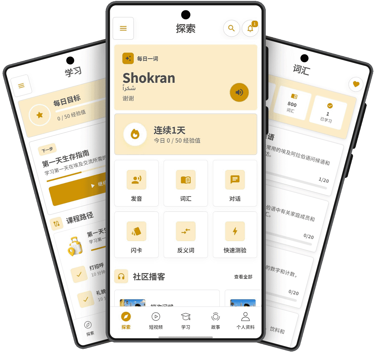 您的 Masri 学习之旅从这里开始